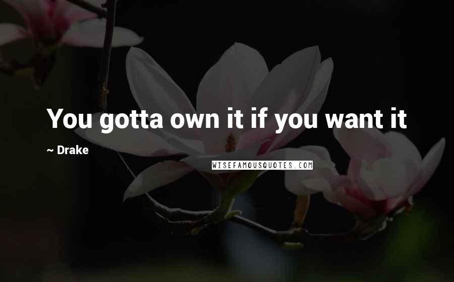 Drake Quotes: You gotta own it if you want it