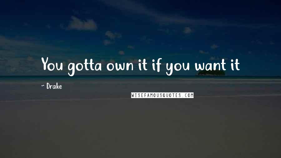 Drake Quotes: You gotta own it if you want it