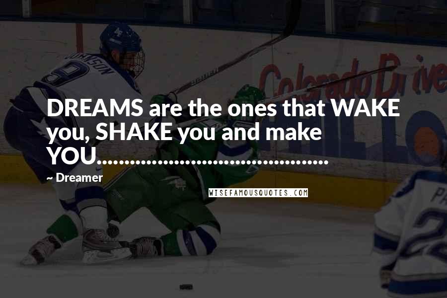 Dreamer Quotes: DREAMS are the ones that WAKE you, SHAKE you and make YOU..........................................