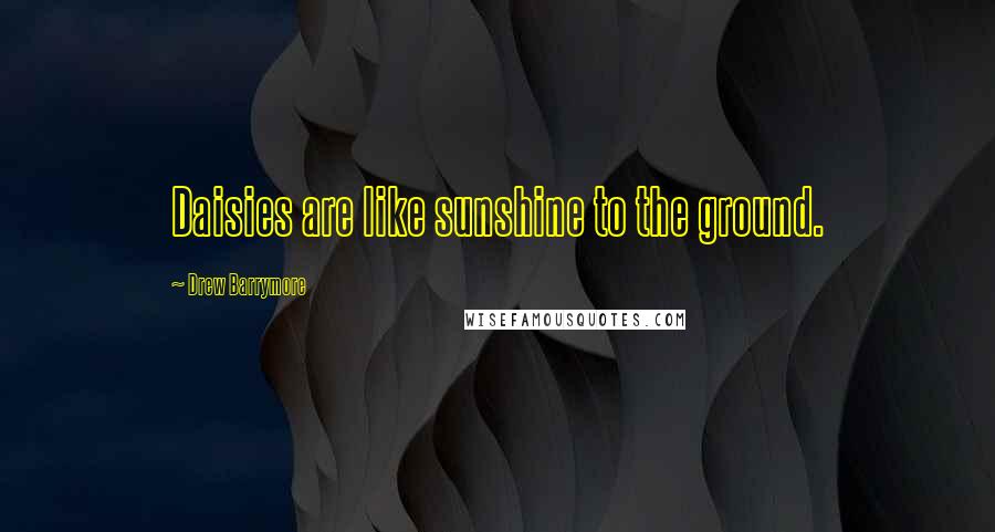Drew Barrymore Quotes: Daisies are like sunshine to the ground.