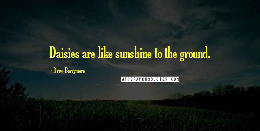 Drew Barrymore Quotes: Daisies are like sunshine to the ground.