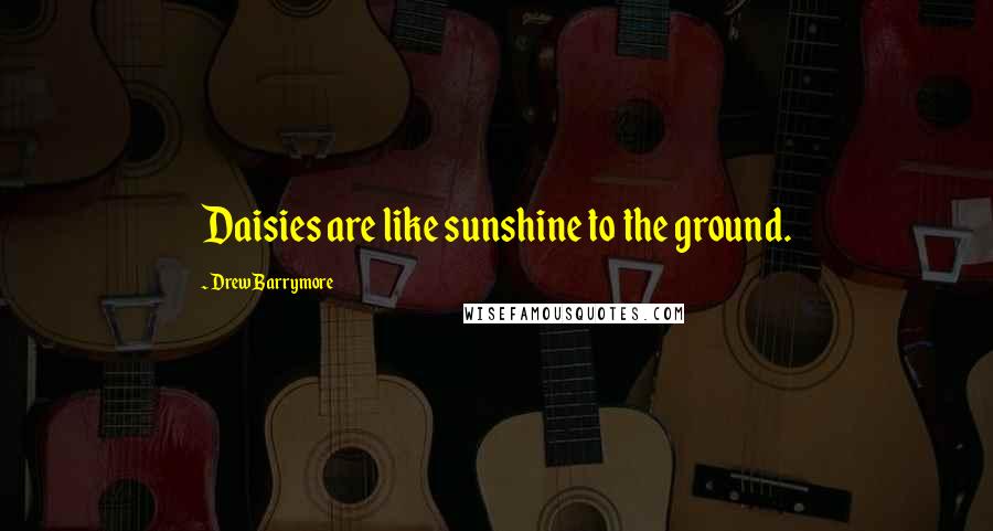 Drew Barrymore Quotes: Daisies are like sunshine to the ground.