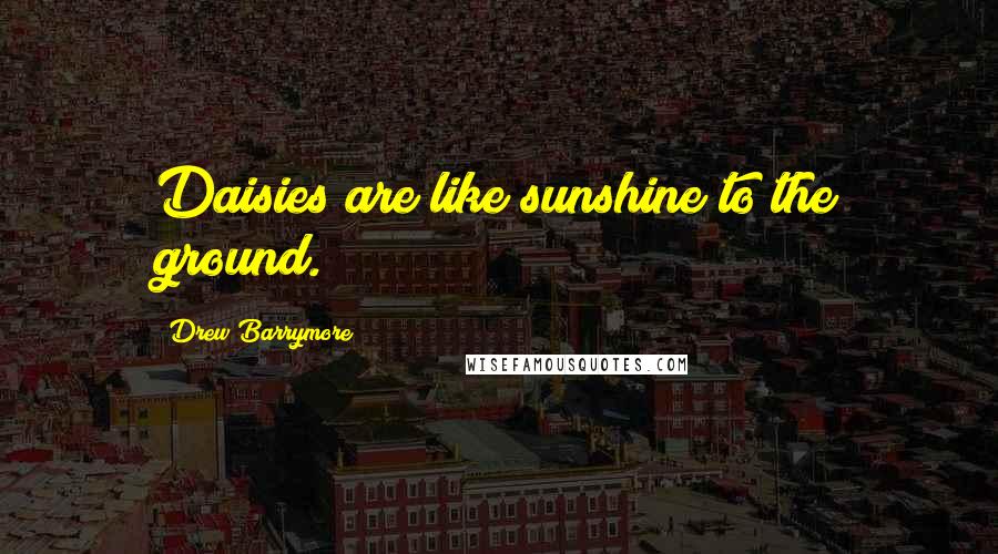 Drew Barrymore Quotes: Daisies are like sunshine to the ground.
