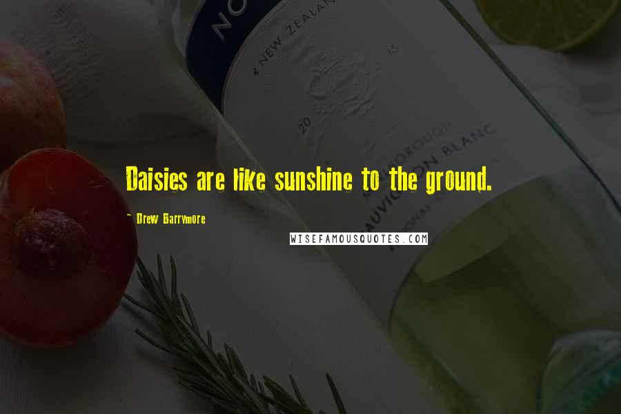 Drew Barrymore Quotes: Daisies are like sunshine to the ground.