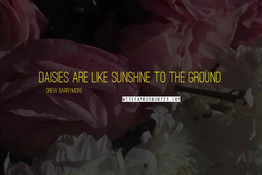 Drew Barrymore Quotes: Daisies are like sunshine to the ground.