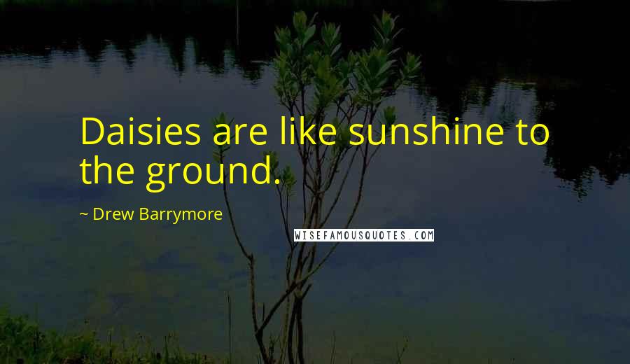 Drew Barrymore Quotes: Daisies are like sunshine to the ground.