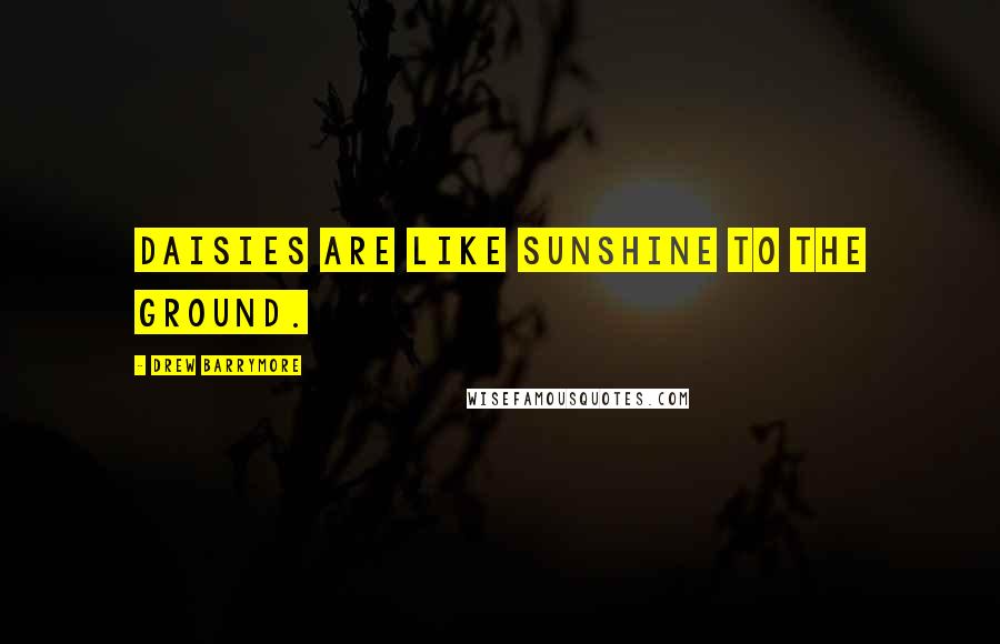 Drew Barrymore Quotes: Daisies are like sunshine to the ground.