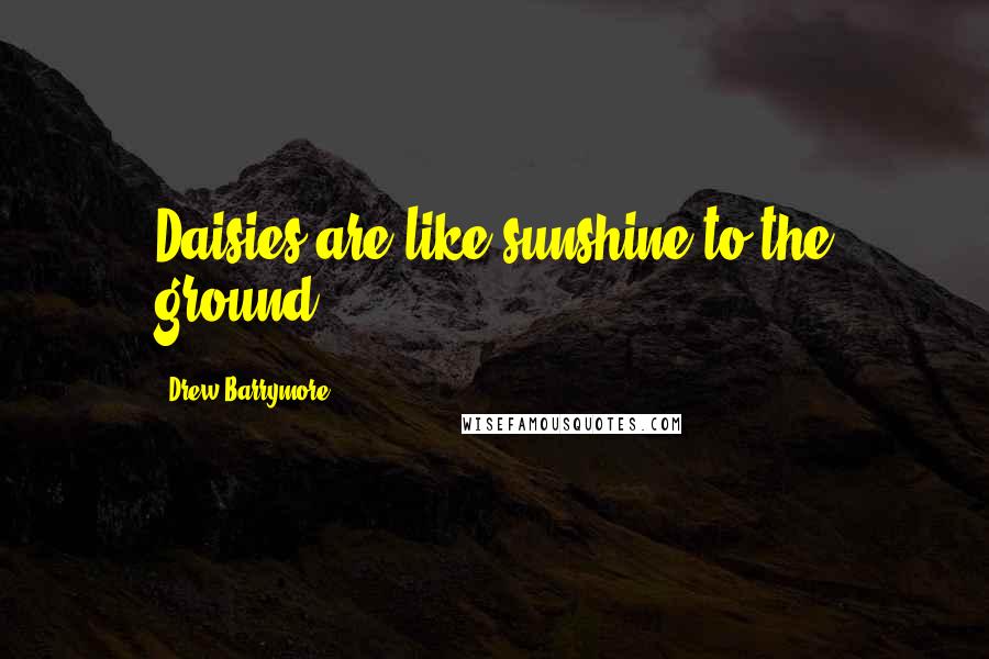 Drew Barrymore Quotes: Daisies are like sunshine to the ground.