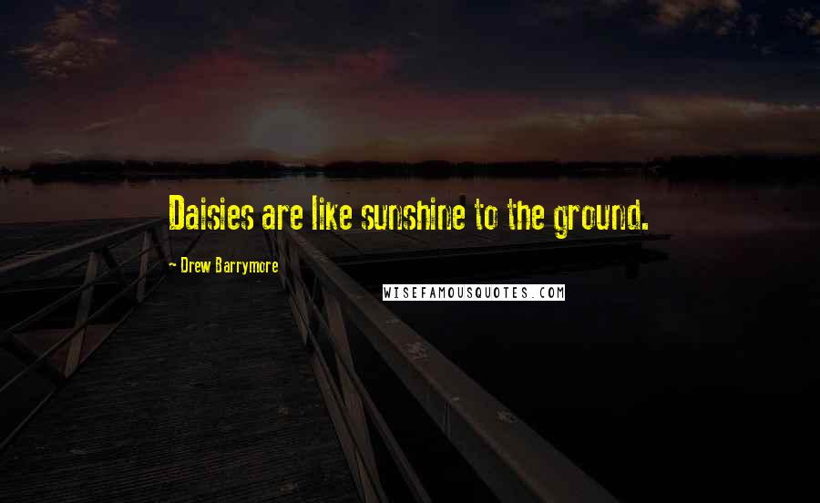 Drew Barrymore Quotes: Daisies are like sunshine to the ground.