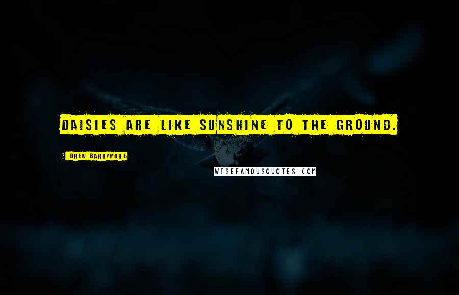 Drew Barrymore Quotes: Daisies are like sunshine to the ground.