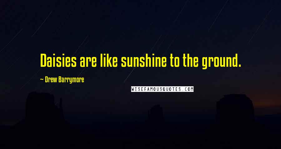 Drew Barrymore Quotes: Daisies are like sunshine to the ground.