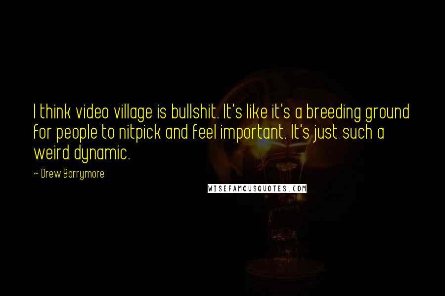Drew Barrymore Quotes: I think video village is bullshit. It's like it's a breeding ground for people to nitpick and feel important. It's just such a weird dynamic.