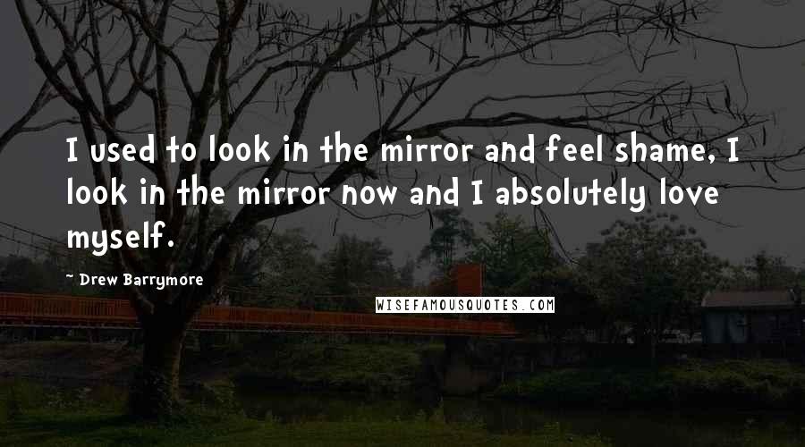 Drew Barrymore Quotes: I used to look in the mirror and feel shame, I look in the mirror now and I absolutely love myself.