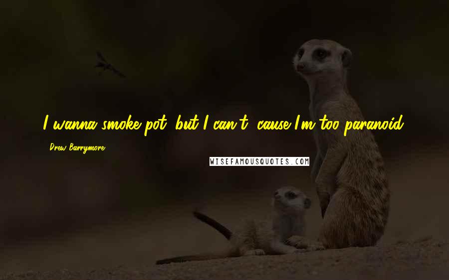 Drew Barrymore Quotes: I wanna smoke pot, but I can't, cause I'm too paranoid.