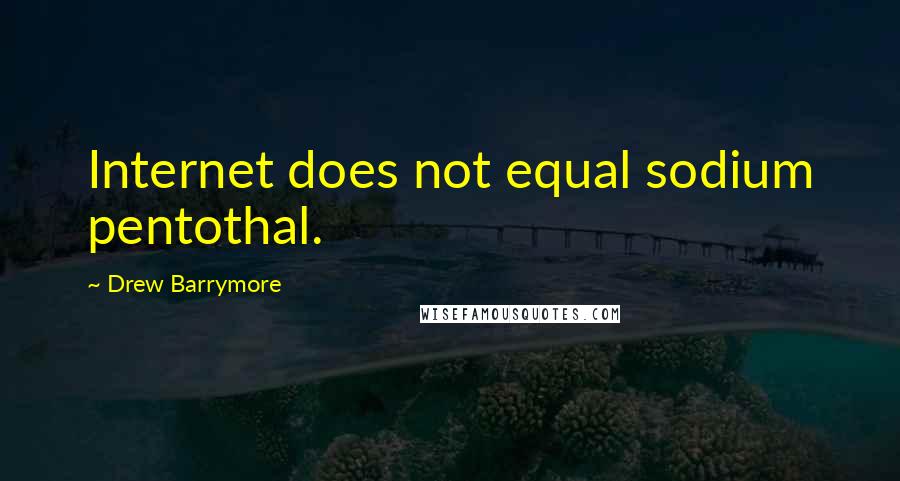 Drew Barrymore Quotes: Internet does not equal sodium pentothal.