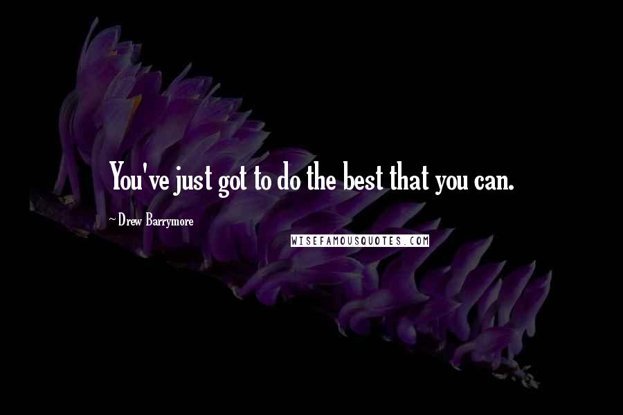 Drew Barrymore Quotes: You've just got to do the best that you can.