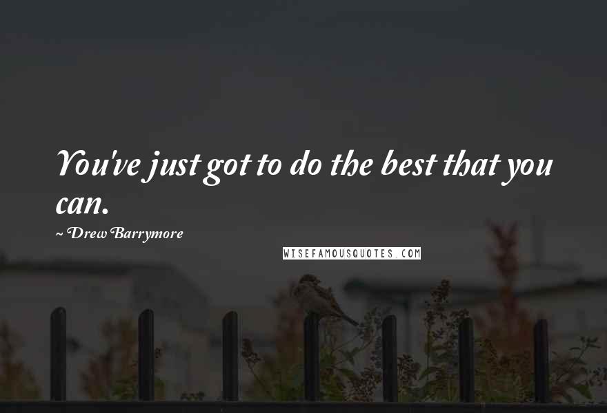 Drew Barrymore Quotes: You've just got to do the best that you can.