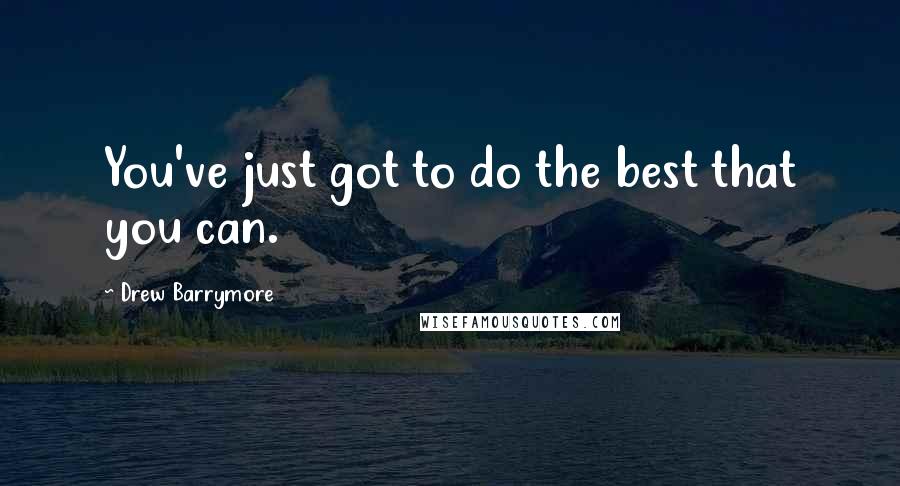 Drew Barrymore Quotes: You've just got to do the best that you can.