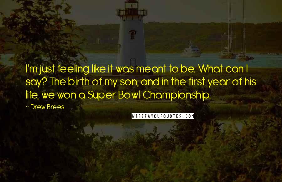 Drew Brees Quotes: I'm just feeling like it was meant to be. What can I say? The birth of my son, and in the first year of his life, we won a Super Bowl Championship.