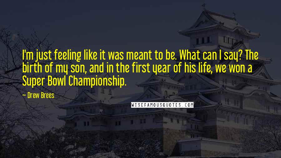 Drew Brees Quotes: I'm just feeling like it was meant to be. What can I say? The birth of my son, and in the first year of his life, we won a Super Bowl Championship.