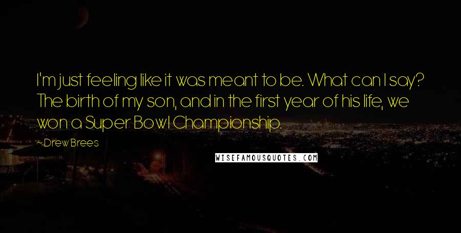 Drew Brees Quotes: I'm just feeling like it was meant to be. What can I say? The birth of my son, and in the first year of his life, we won a Super Bowl Championship.