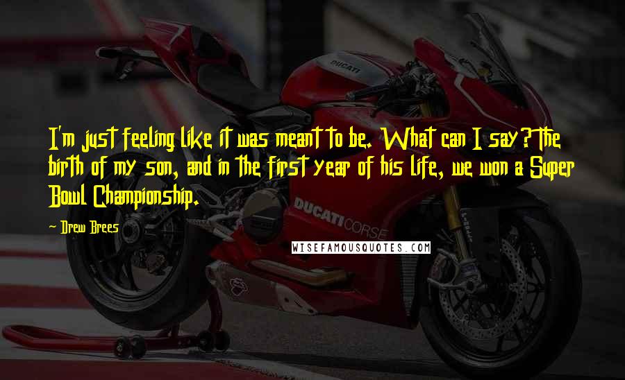 Drew Brees Quotes: I'm just feeling like it was meant to be. What can I say? The birth of my son, and in the first year of his life, we won a Super Bowl Championship.