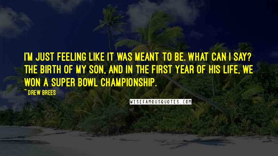 Drew Brees Quotes: I'm just feeling like it was meant to be. What can I say? The birth of my son, and in the first year of his life, we won a Super Bowl Championship.