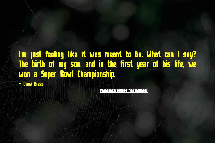 Drew Brees Quotes: I'm just feeling like it was meant to be. What can I say? The birth of my son, and in the first year of his life, we won a Super Bowl Championship.