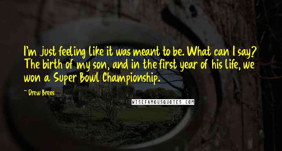 Drew Brees Quotes: I'm just feeling like it was meant to be. What can I say? The birth of my son, and in the first year of his life, we won a Super Bowl Championship.