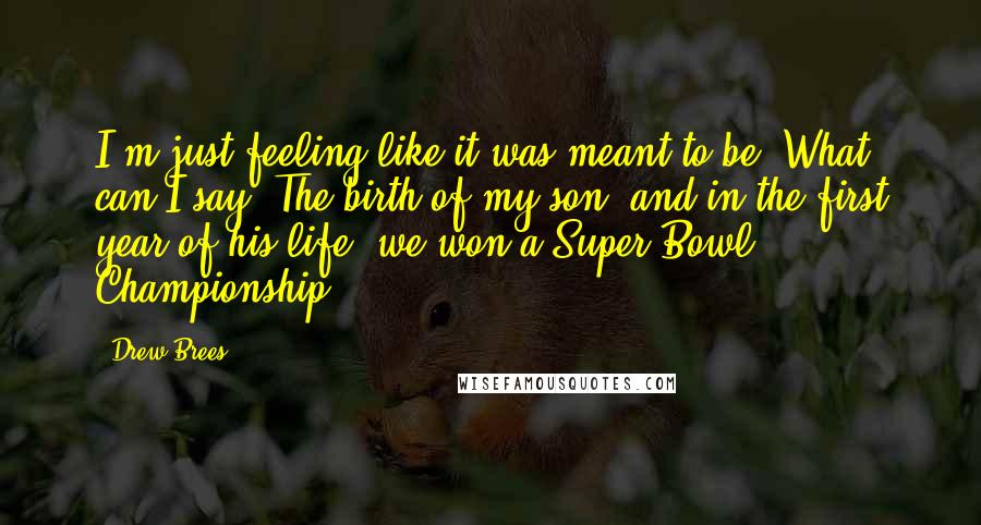 Drew Brees Quotes: I'm just feeling like it was meant to be. What can I say? The birth of my son, and in the first year of his life, we won a Super Bowl Championship.