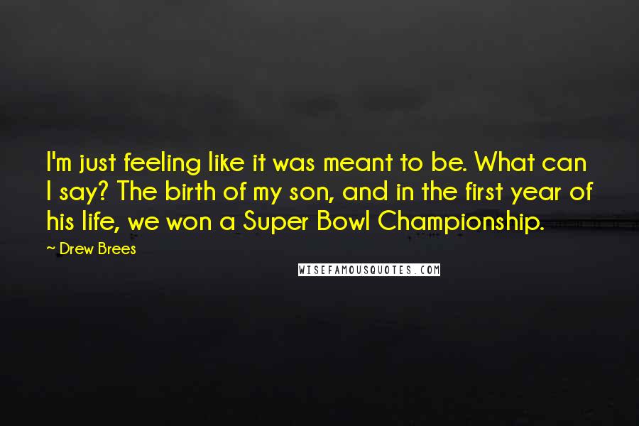 Drew Brees Quotes: I'm just feeling like it was meant to be. What can I say? The birth of my son, and in the first year of his life, we won a Super Bowl Championship.