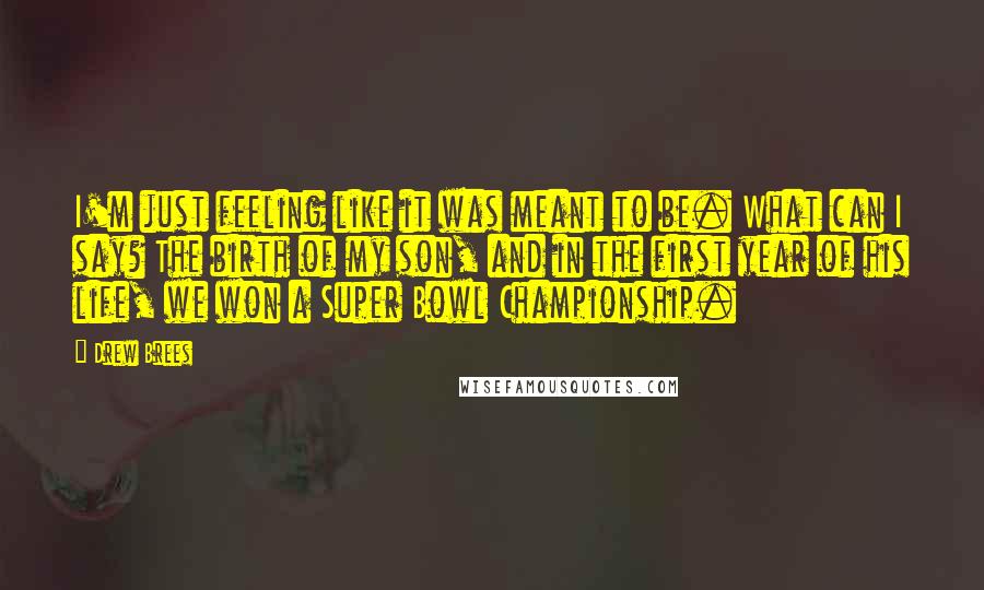 Drew Brees Quotes: I'm just feeling like it was meant to be. What can I say? The birth of my son, and in the first year of his life, we won a Super Bowl Championship.