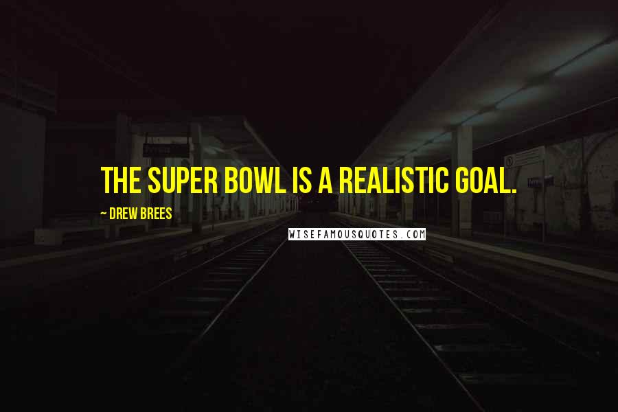 Drew Brees Quotes: The Super Bowl is a realistic goal.