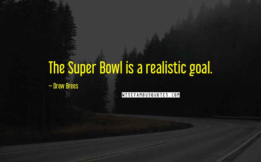 Drew Brees Quotes: The Super Bowl is a realistic goal.