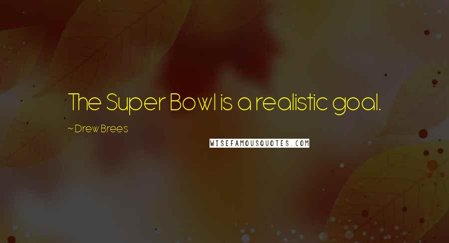 Drew Brees Quotes: The Super Bowl is a realistic goal.