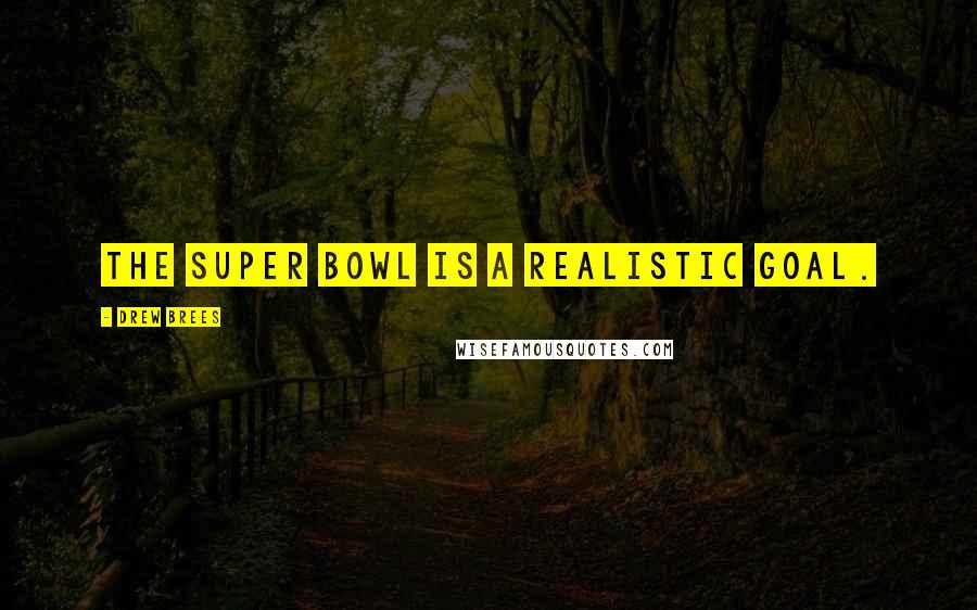 Drew Brees Quotes: The Super Bowl is a realistic goal.