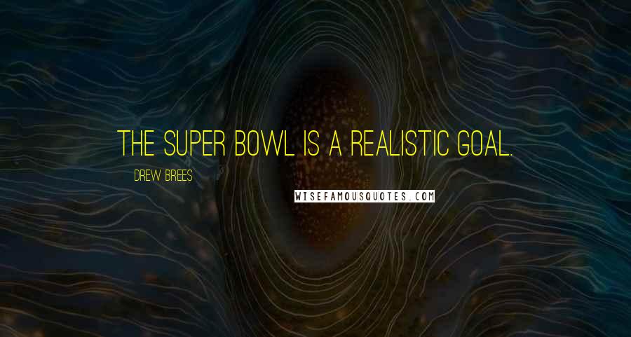 Drew Brees Quotes: The Super Bowl is a realistic goal.