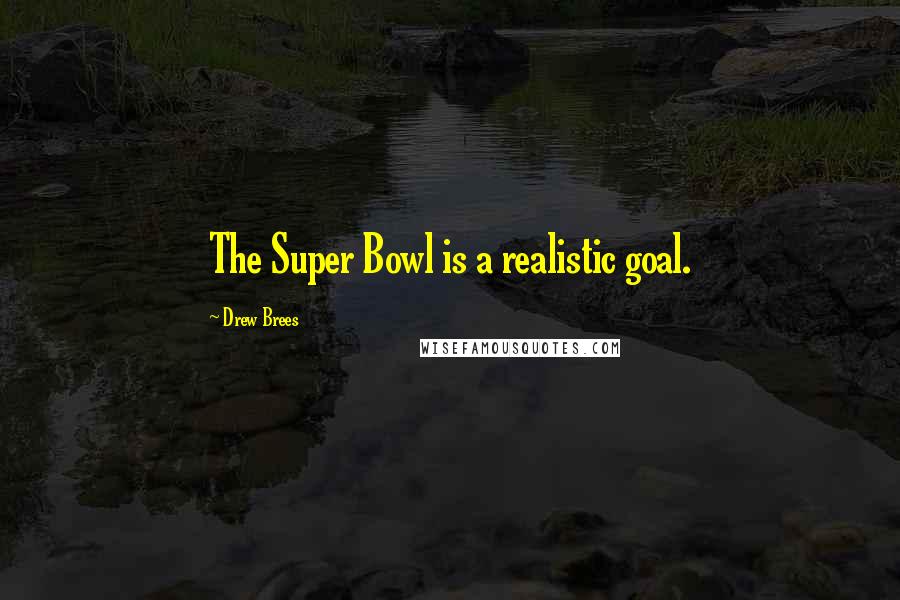 Drew Brees Quotes: The Super Bowl is a realistic goal.