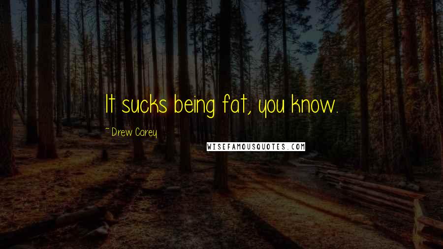 Drew Carey Quotes: It sucks being fat, you know.