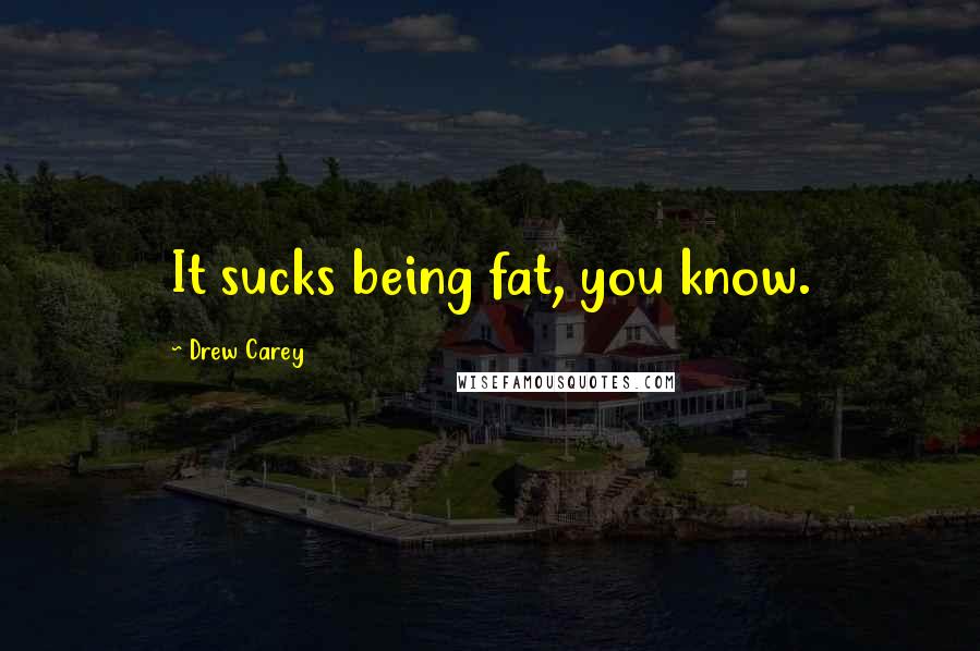 Drew Carey Quotes: It sucks being fat, you know.