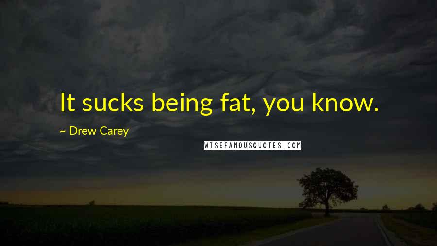 Drew Carey Quotes: It sucks being fat, you know.