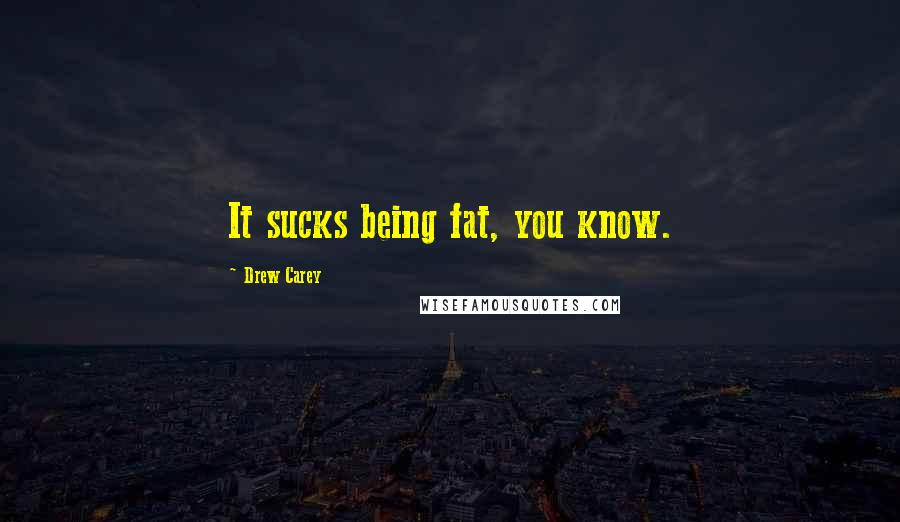 Drew Carey Quotes: It sucks being fat, you know.