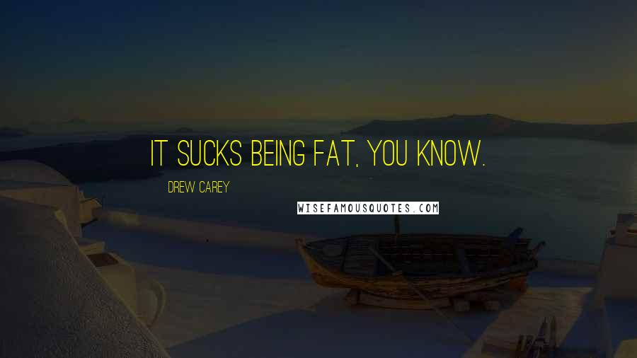 Drew Carey Quotes: It sucks being fat, you know.
