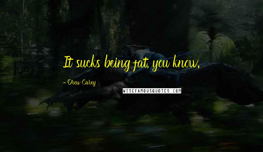 Drew Carey Quotes: It sucks being fat, you know.