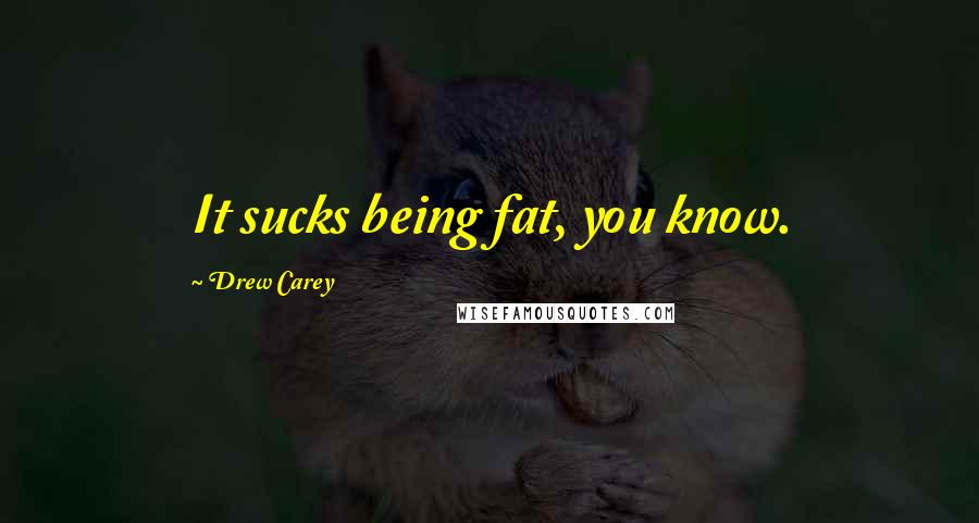 Drew Carey Quotes: It sucks being fat, you know.