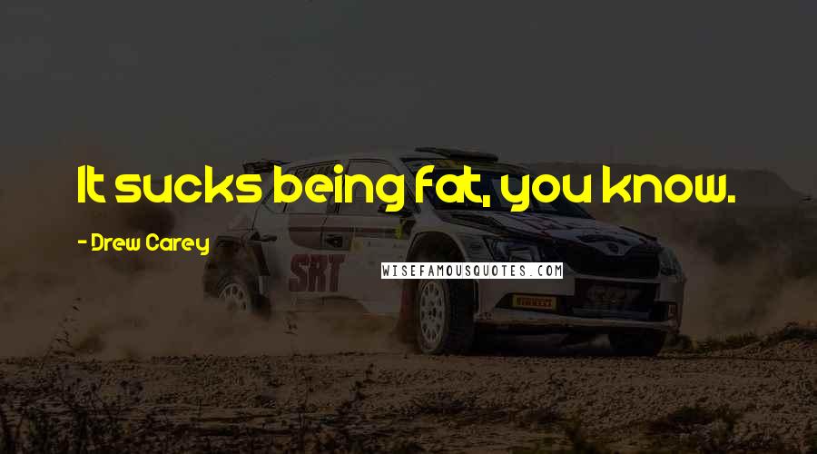 Drew Carey Quotes: It sucks being fat, you know.
