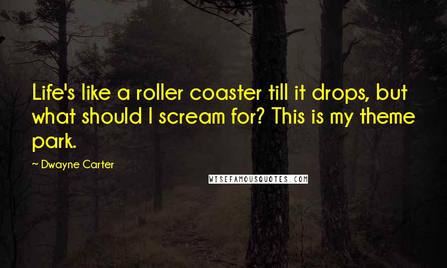 Dwayne Carter Quotes: Life's like a roller coaster till it drops, but what should I scream for? This is my theme park.