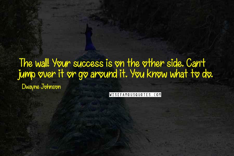 Dwayne Johnson Quotes: The wall! Your success is on the other side. Can't jump over it or go around it. You know what to do.