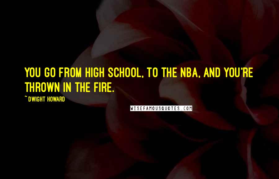 Dwight Howard Quotes: You go from high school, to the NBA, and you're thrown in the fire.