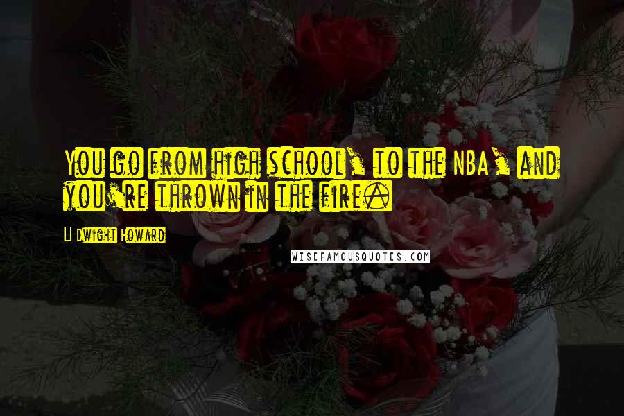 Dwight Howard Quotes: You go from high school, to the NBA, and you're thrown in the fire.